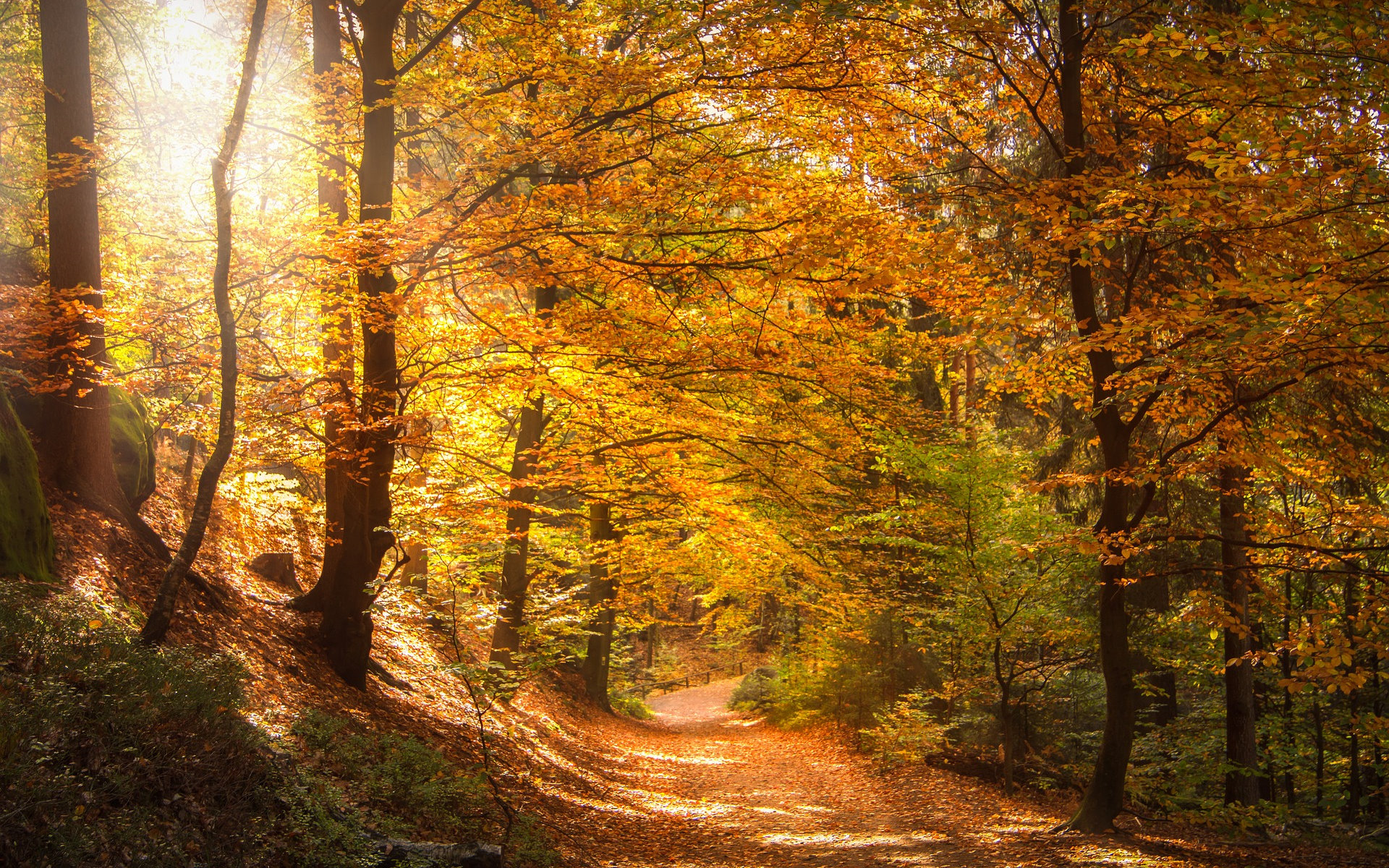 Photo de Sven Lachmann 'Seaq68' sur Pixabay