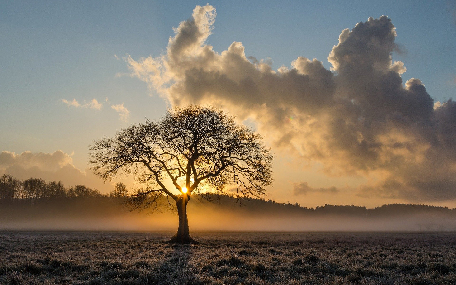 Photo de mbll sur Pixabay